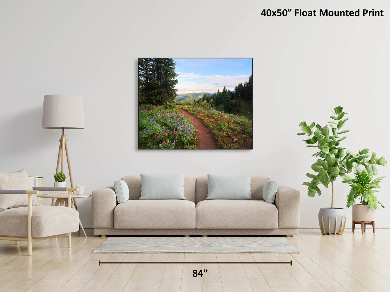 Wildflower Trail — Alex Burke Photography